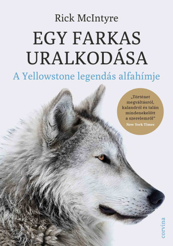 Rick McIntyre – Egy farkas uralkodása